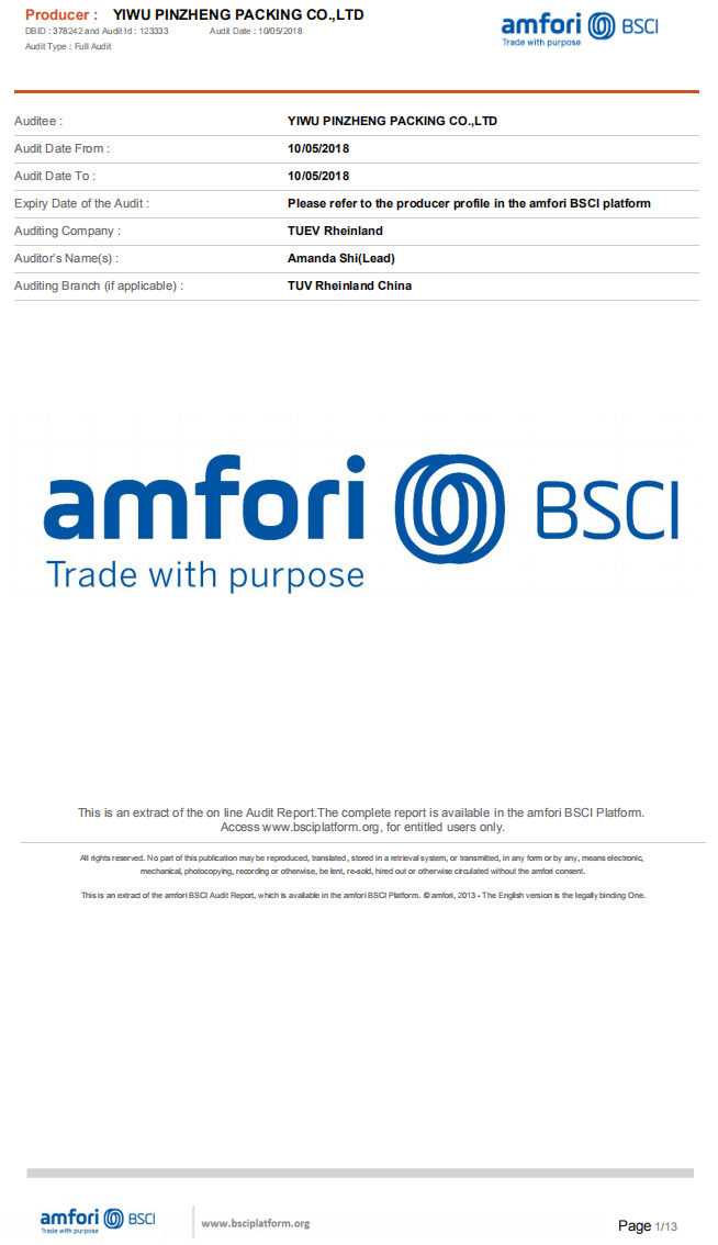 BSCI report